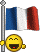 drapeau france1